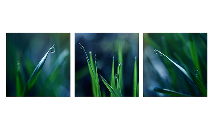 *** Ranní blues ***