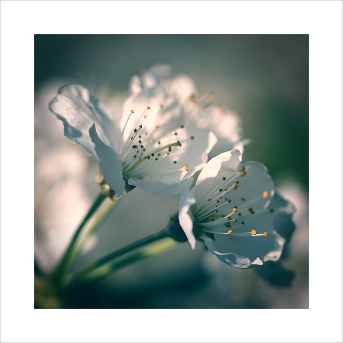 *** Naslouchání ***