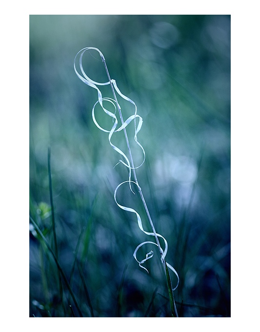 *** Kouzelná hůlka ***