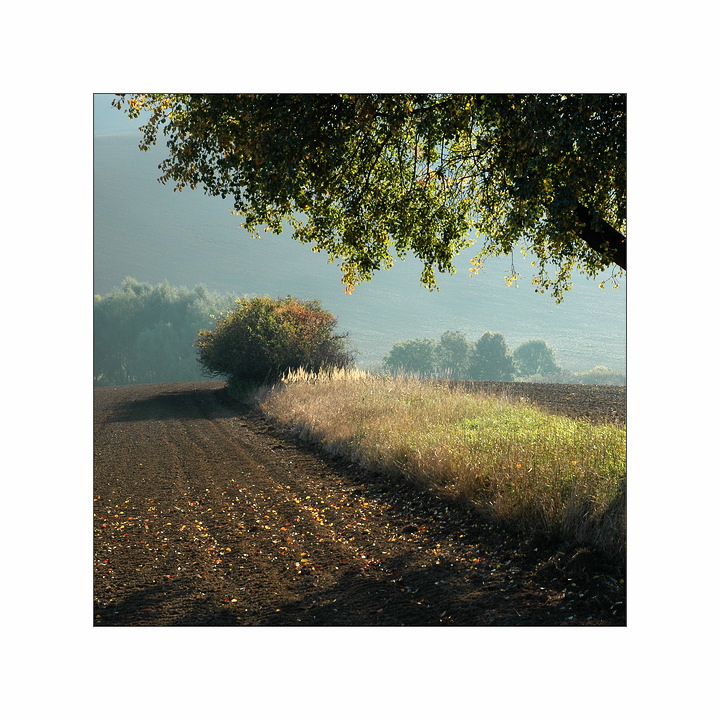 Větší než malé množství podzimu