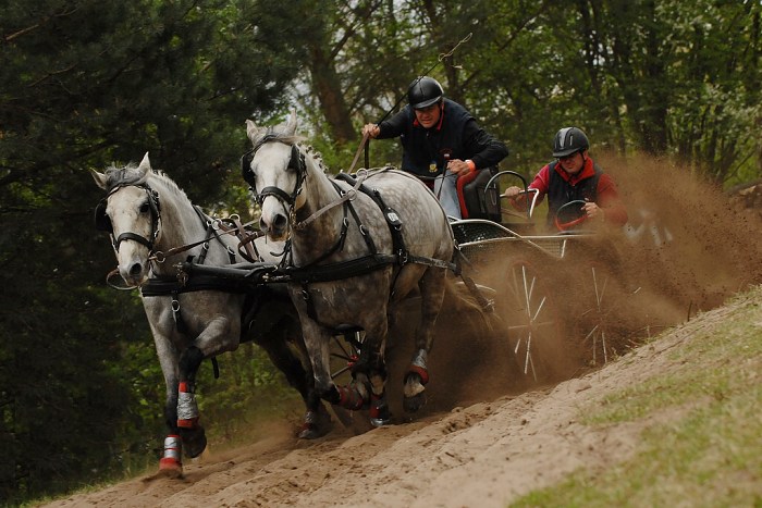 Rudolfův pohár - Kladruby