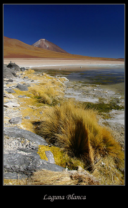 Laguna Blanca