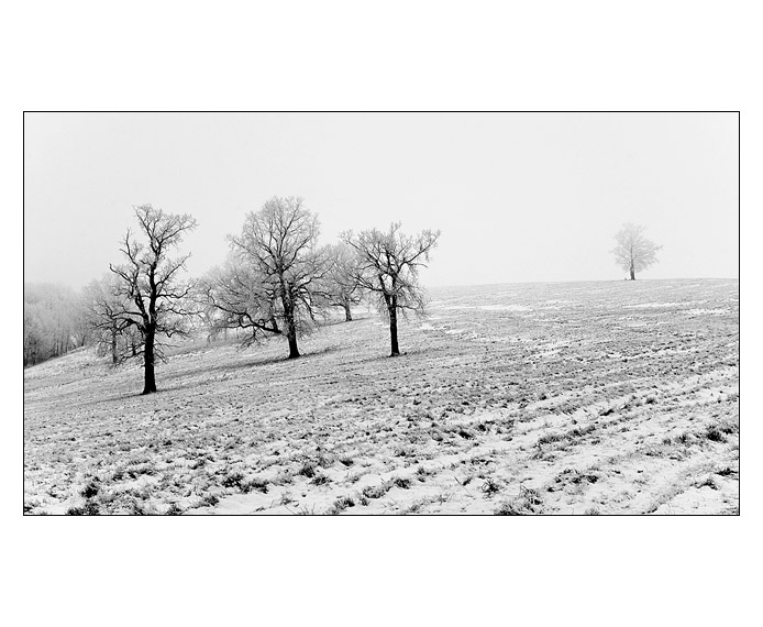 Lesná