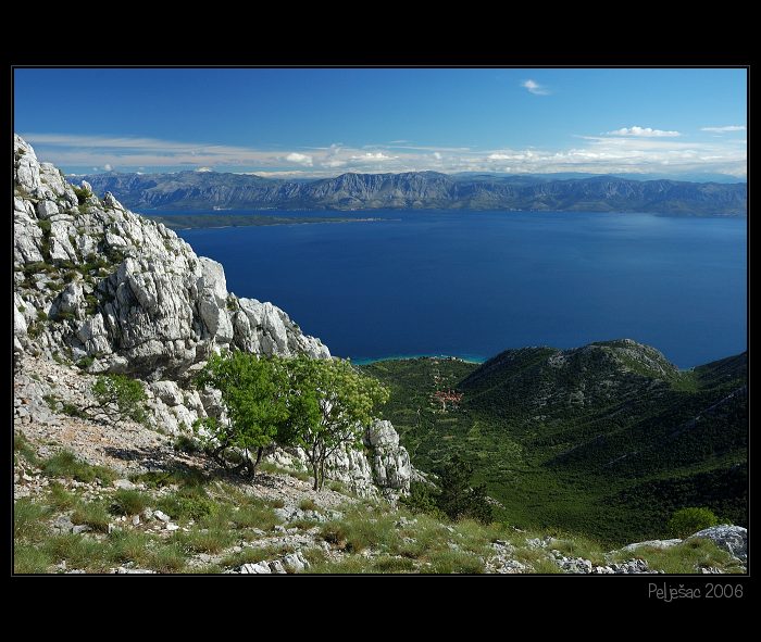 Duba Pelješka