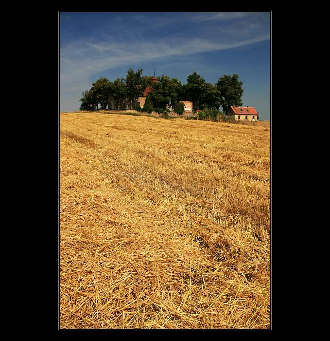 Posečeno