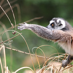 chci to, du po tom a musím to mít!