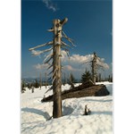 Jarní jizerské pohlazení,....