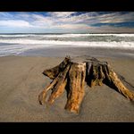 Zalévejte 2x denně