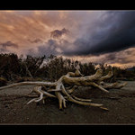 Žilo to na pláži...