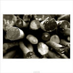 ... príbehy z kopcov II. ...