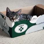 SANTÉ - Péče a pohodlí ...