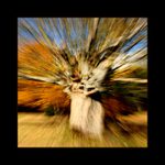 Šumavské strašidlo