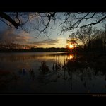 O rákosí,modré PETflašce a zubatých kolečkách...