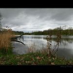 Kačákofka pošmourná