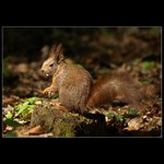 Nech mě už být...