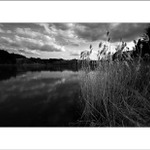 Podvečer u rybníka