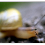 Kuk,copak to tu máme?