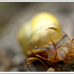 Kuk,mě se neschováš!