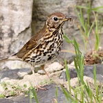 ...tak dobrou chutˇ...