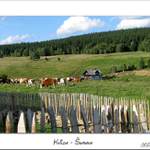 Šumava - Kvilda