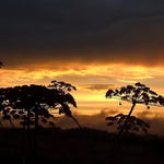 Spomienky na afriku....