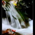 jak ja to jen prebrodim....