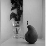 odpolední pozastavení  II