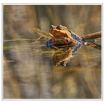 KTO MA POBOZKÁ  ???