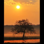 Ranní šílenci (fotografové a rybáři)