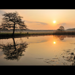 Ranní šílenci II.