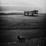 Z cyklu "Mlžné vzpomínky na nedělní ráno"