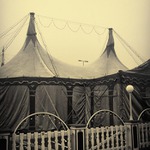 "Cirkus" z cyklu "Mlžné vzpomínky na nedělní ráno"