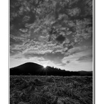 Skorojarná večerná