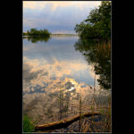 Odpolední rybník Hlohovec