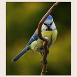 Hele,mám tě v merku