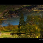 od(b)rázky z rybníka