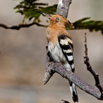 spinkám nerušit :)