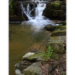 Velikonoční potůčky V