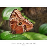 vem mě z levé strany....tááák