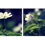 *** Něco ti pošeptám ...***