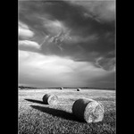 Příběh čtyř ...