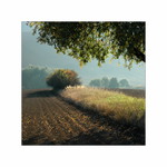 Větší než malé množství podzimu