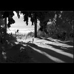 Poslední lyžař II