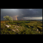 ...palavske vyhledy...