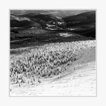 Polská krajinka ...