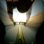 Dobrovolny darca organov