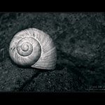 Opuštěná maringotka