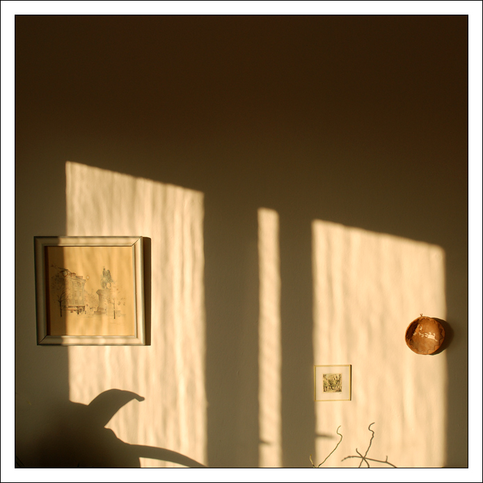 Ráno líného fotografa