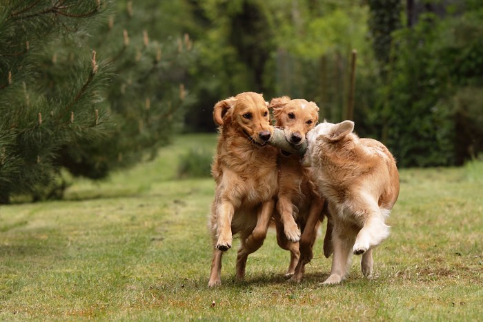Together