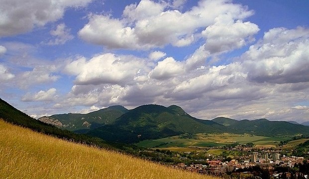 Choč
